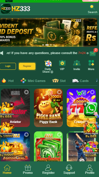Supporting image for the HZ333 Game guide